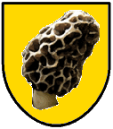 Wappen der Stadt Berggugg