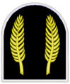 Wappen Somra.png