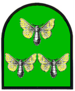 Wappen der Stadt Yrlensbar