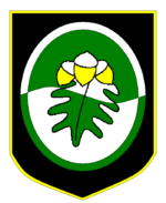 Wappen der Stadt Lochlyrr